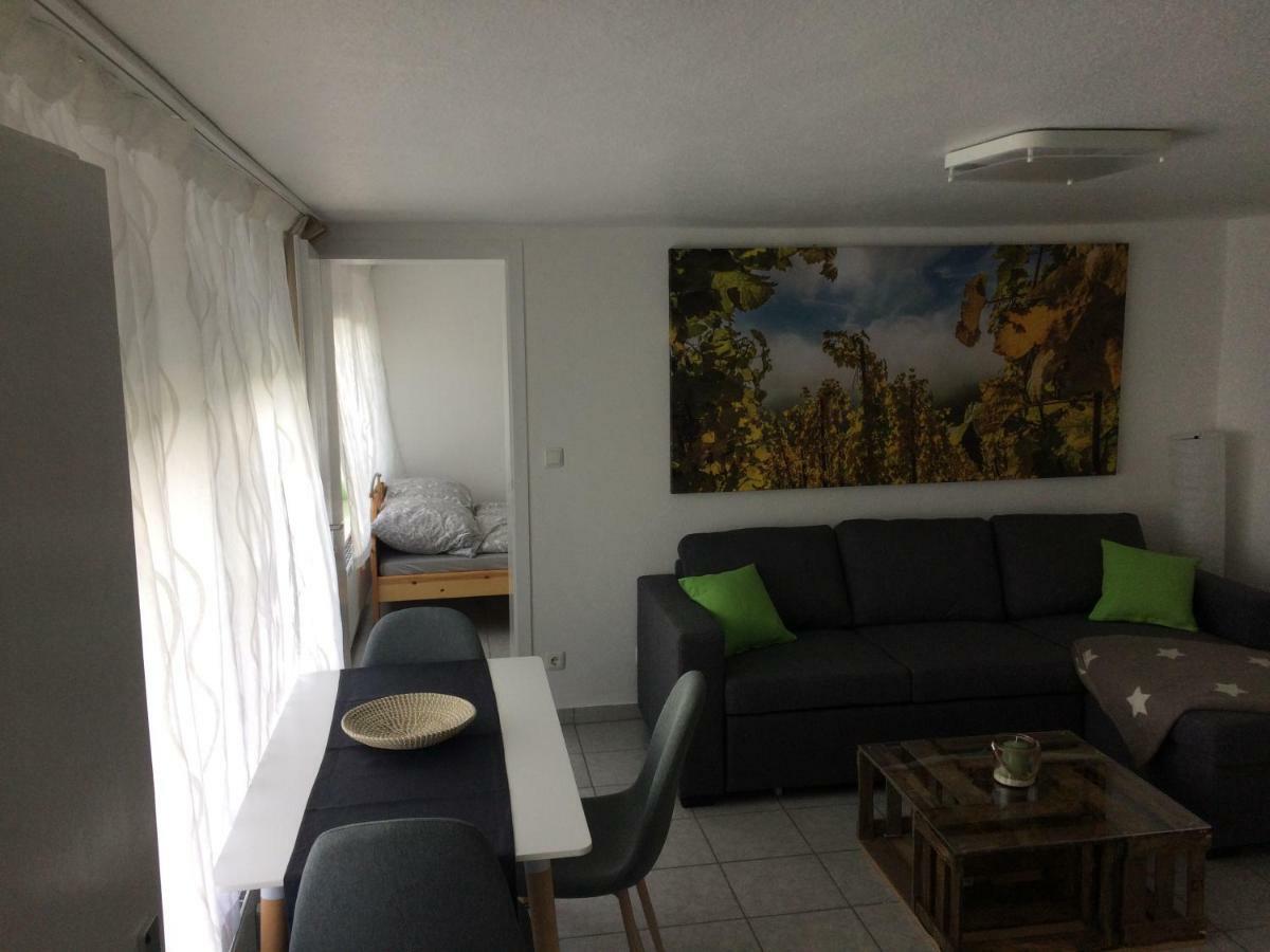 Gemuetliche, Ruhig Gelegene Wohnung In Cochem Eksteriør bilde